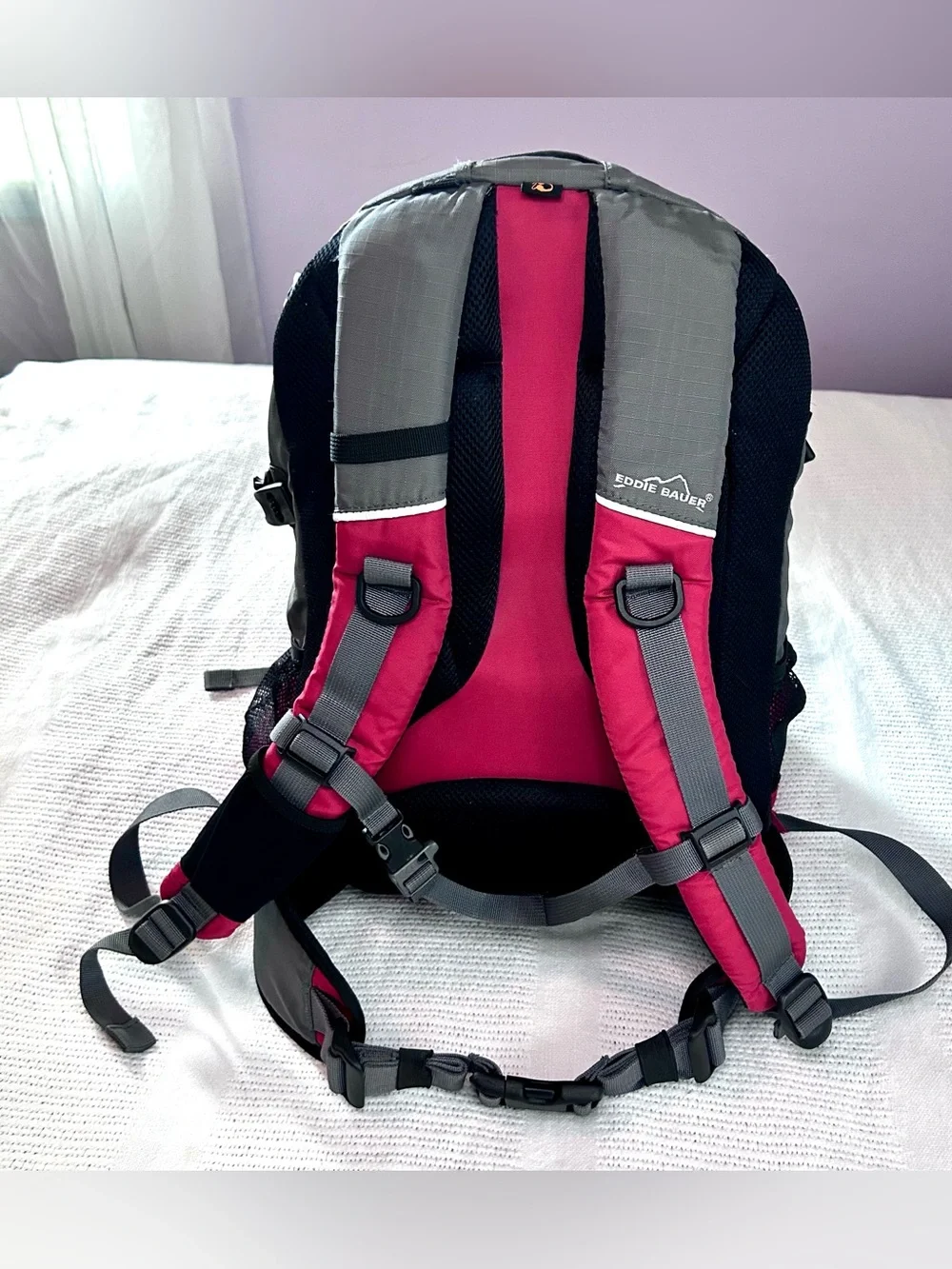 Vintage Rare Eddie Bauer Versatrex Backpack Red & Gray Hiking Ripstop Outdoors